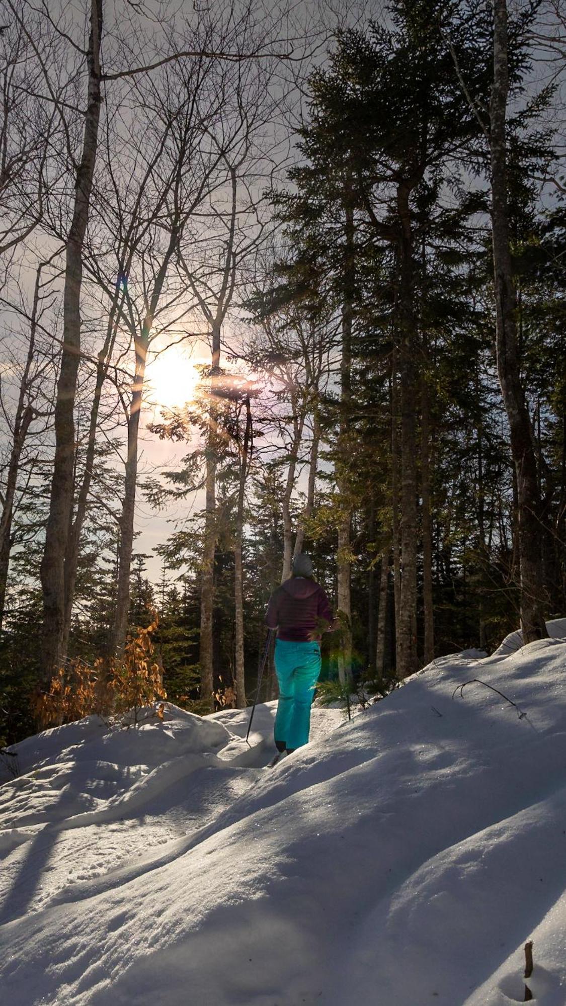 Trailside Accommodations And Outdoor Adventures Birch Plain 外观 照片